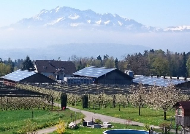 Bucher Eschenbach 210kWp